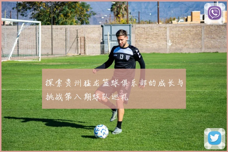 探索贵州猛龙篮球俱乐部的成长与挑战第八期球队巡礼